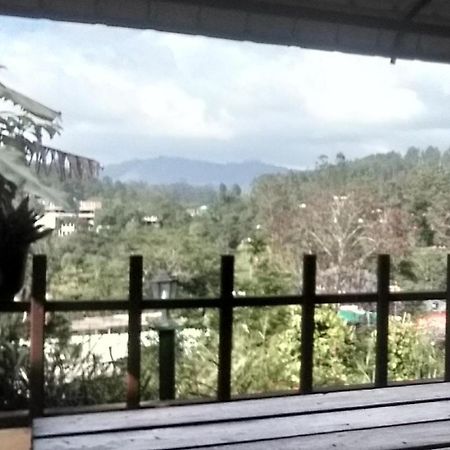 All Joys Ella Ngoại thất bức ảnh