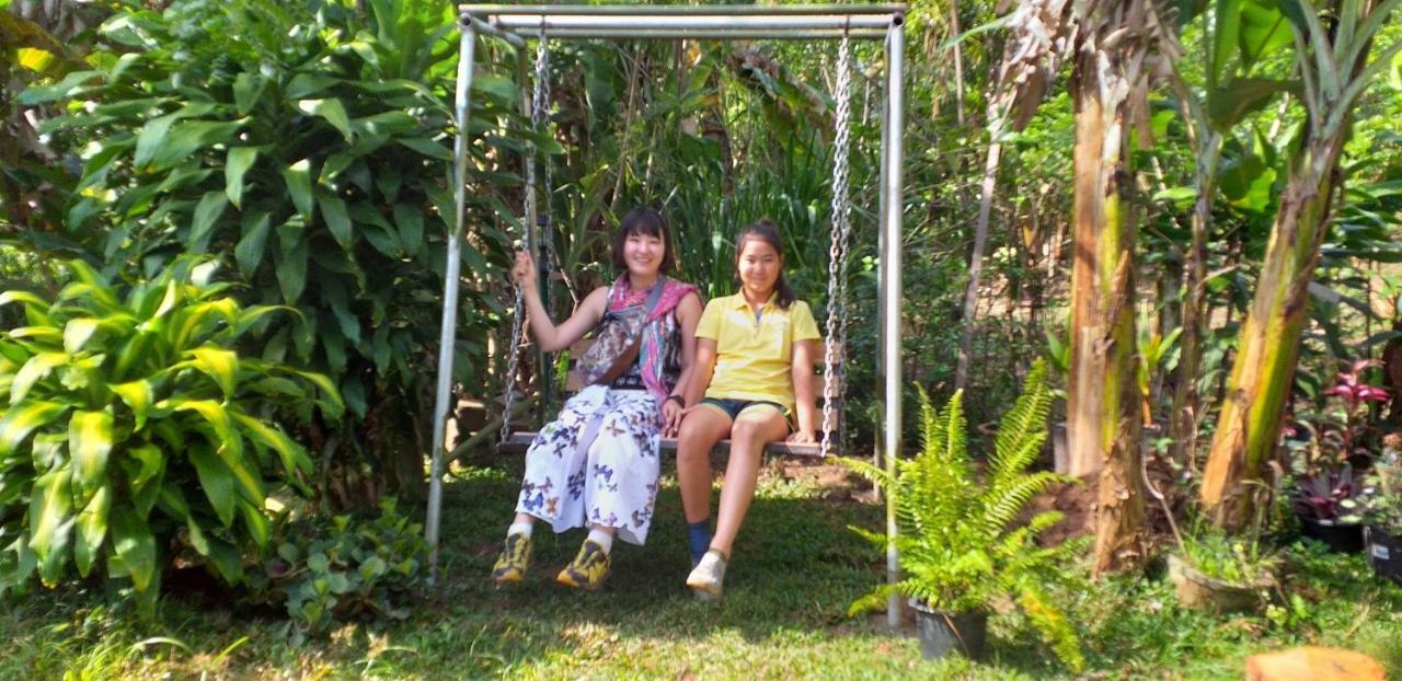 All Joys Ella Ngoại thất bức ảnh